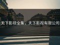 天下影视全集，天下影视有限公司