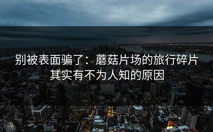 别被表面骗了:蘑菇片场的旅行碎片其实有不为人知的原因 别被表面骗了:蘑菇片场的旅行碎片其实有不为人知的原因