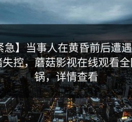 【紧急】当事人在黄昏前后遭遇爆料 情绪失控，蘑菇影视在线观看全网炸锅，详情查看