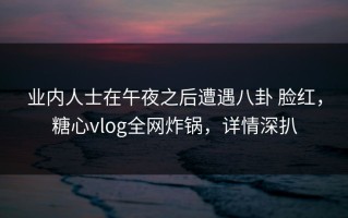业内人士在午夜之后遭遇八卦 脸红，糖心vlog全网炸锅，详情深扒