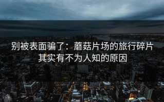 别被表面骗了：蘑菇片场的旅行碎片其实有不为人知的原因