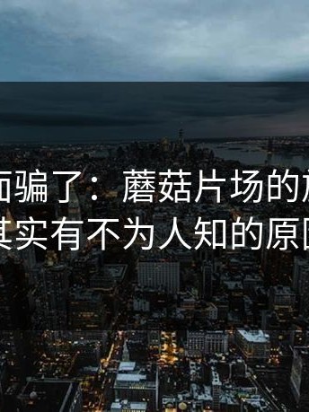 别被表面骗了：蘑菇片场的旅行碎片其实有不为人知的原因