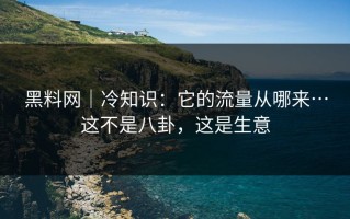 黑料网｜冷知识：它的流量从哪来…这不是八卦，这是生意