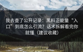 我去查了公开记录：黑料正能量“入口”到底怎么引流？话术拆解看完你就懂（建议收藏）