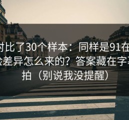 我对比了30个样本：同样是91在线，体验差异怎么来的？答案藏在字幕节拍（别说我没提醒）