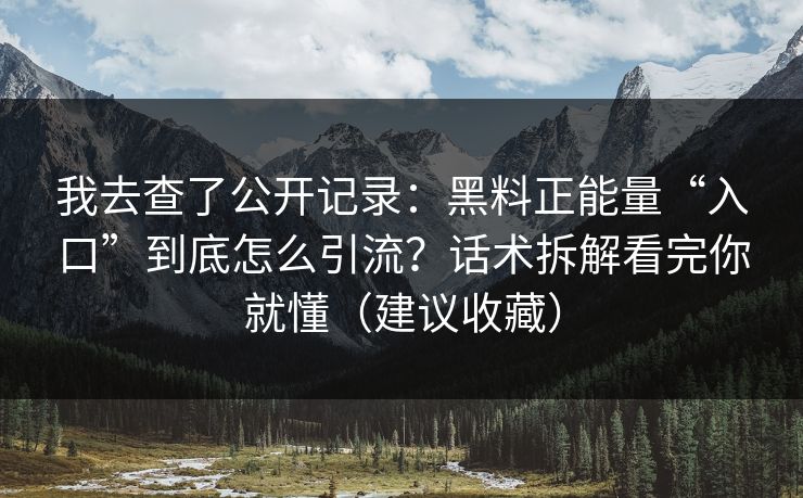 我去查了公开记录：黑料正能量“入口”到底怎么引流？话术拆解看完你就懂（建议收藏）